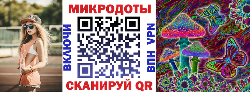 Псилоцибиновые грибы ЛСД blacksprut ONION Александровское